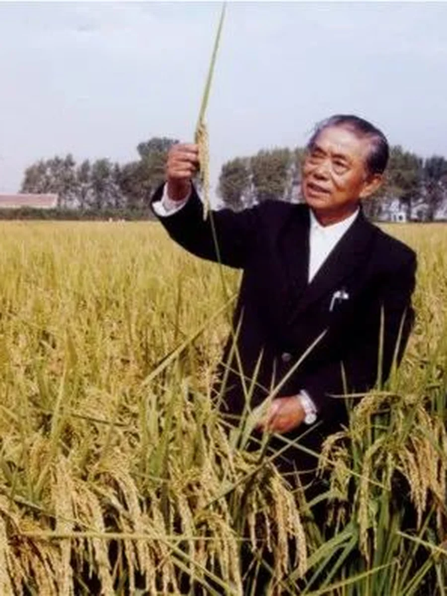 杨振玉